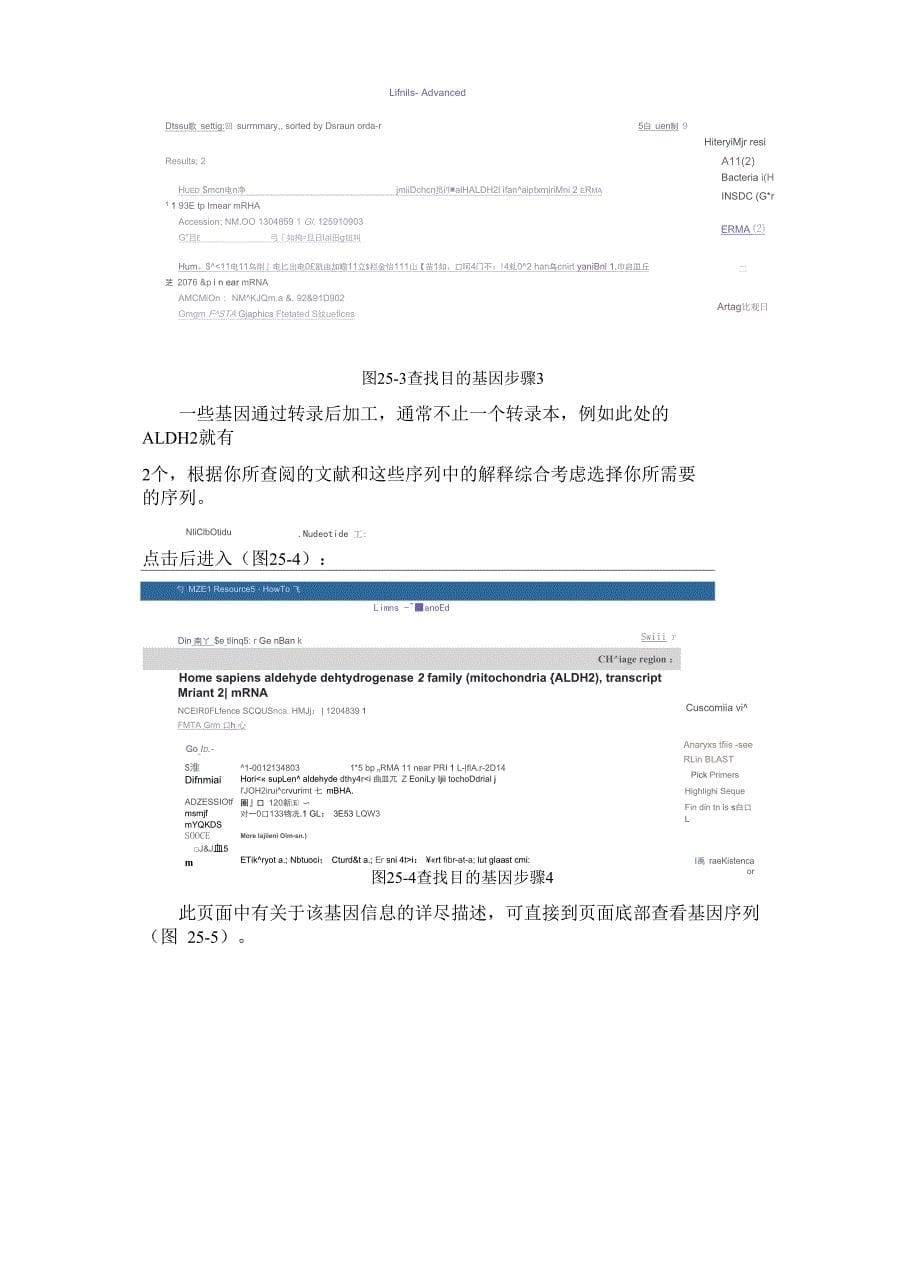 基因多态性分析_第5页