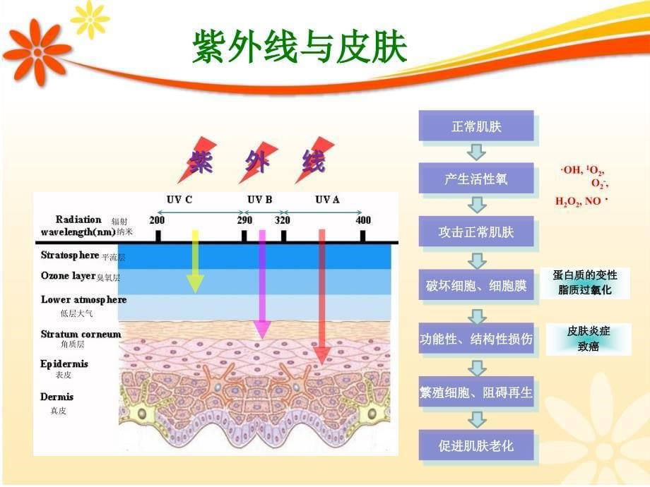 2012年爱诗切防晒最终版.ppt_第5页