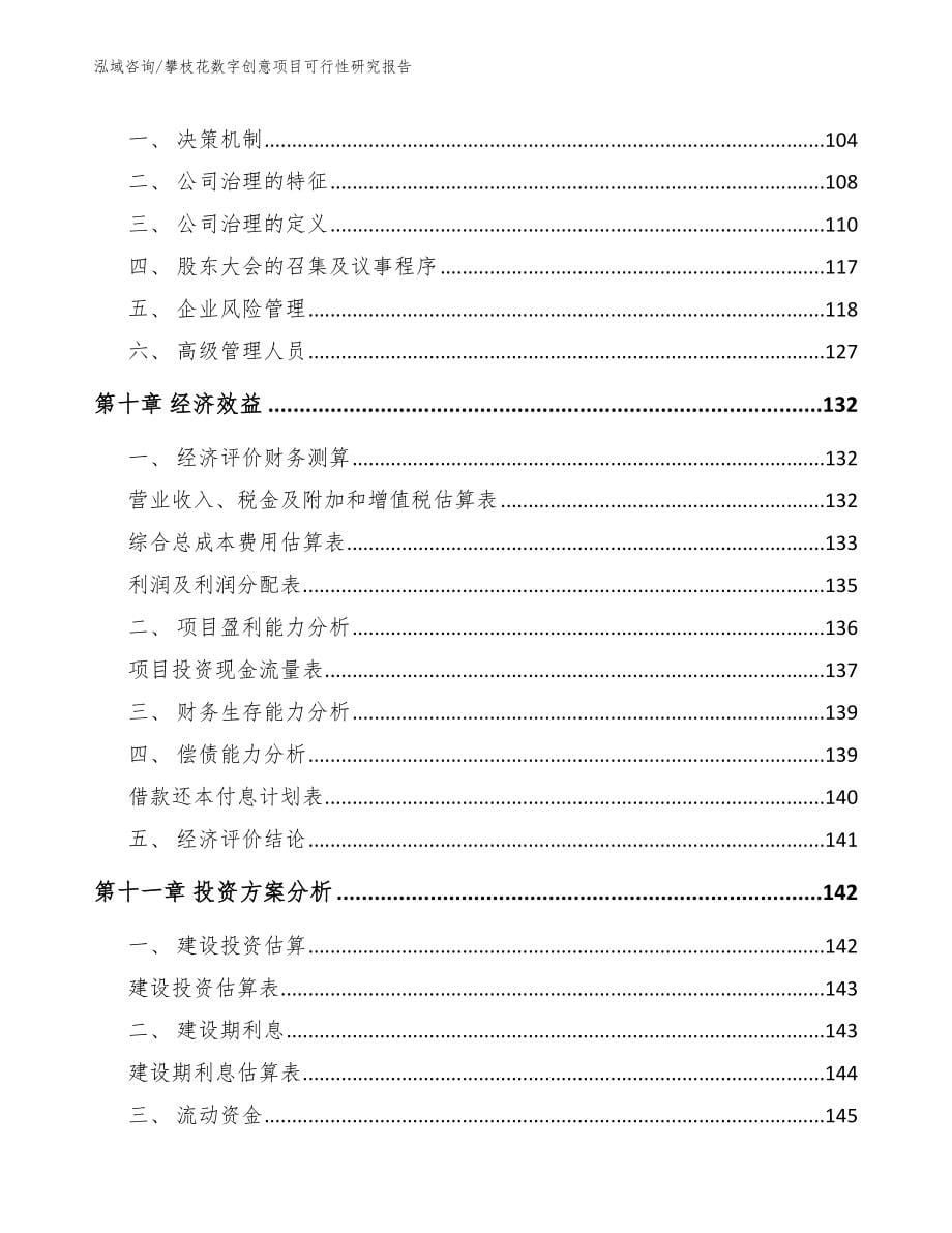 攀枝花数字创意项目可行性研究报告参考模板_第5页