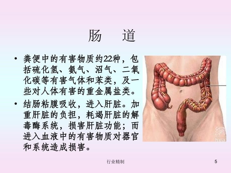 季与肠道与健康润肺滋阴防燥专家知识_第5页