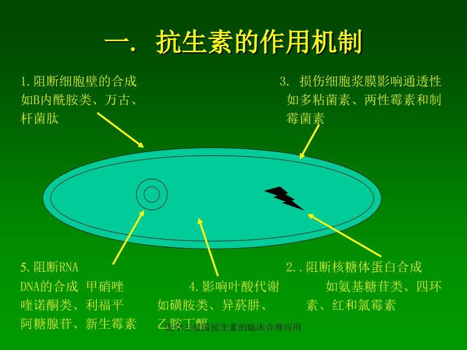 医学王爱霞抗生素的临床合理应用课件_第2页