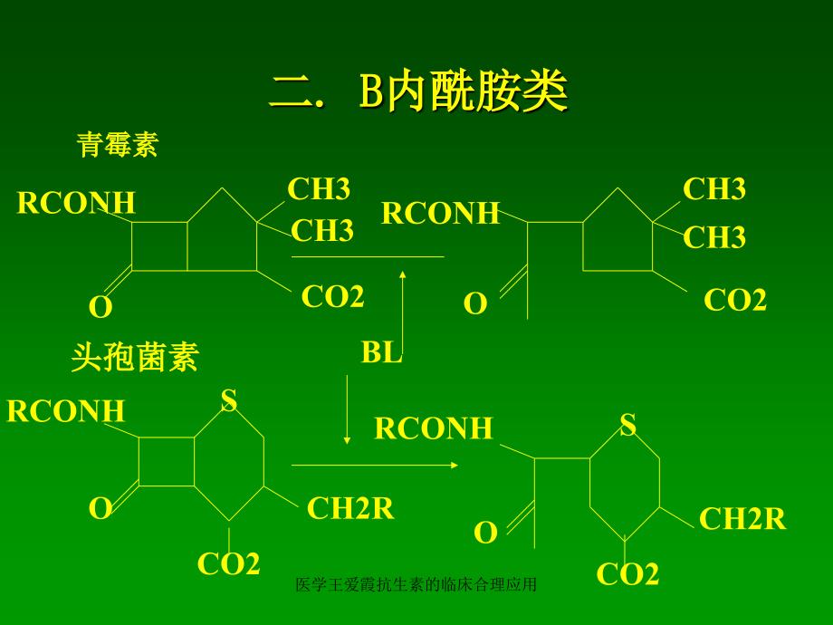 医学王爱霞抗生素的临床合理应用课件_第3页