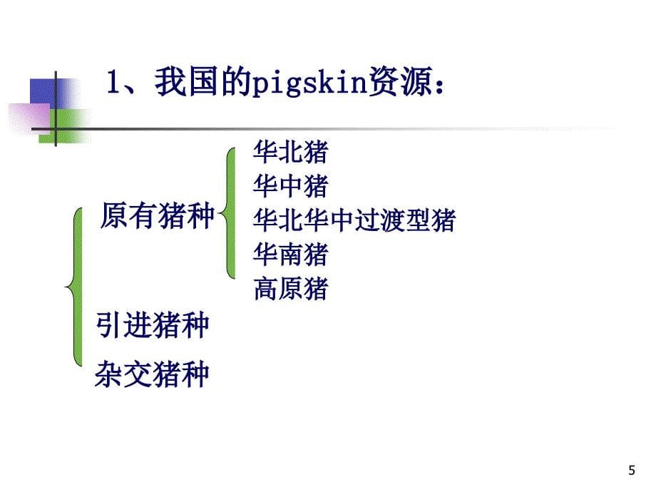 常用原料皮的分类及特征_第5页