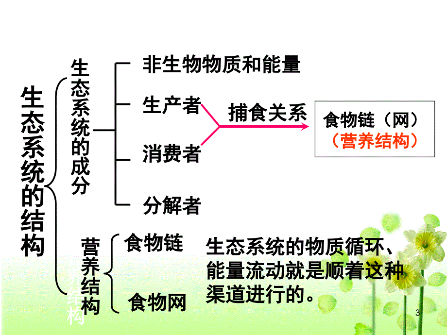 lamAAA生态系统的结构PPT_第3页