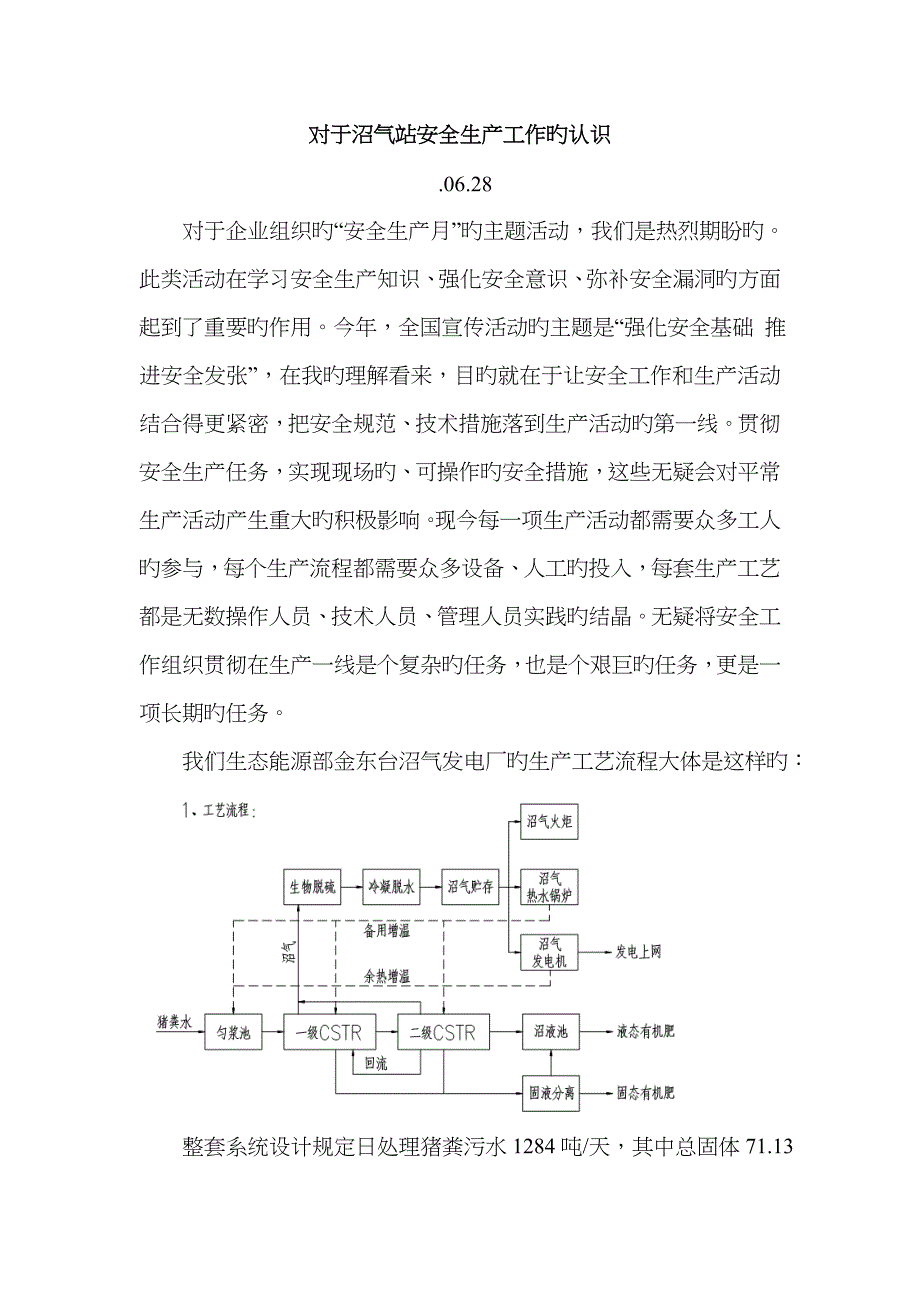 何忠新对于沼气站安全生产工作的认识_第1页