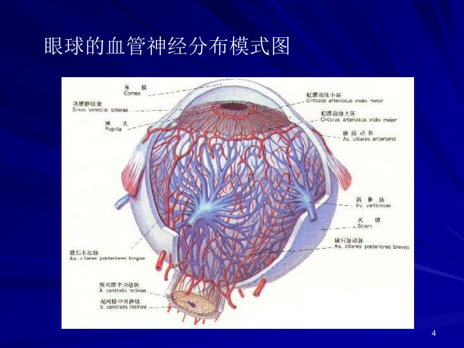 眼底病图谱.ppt_第4页