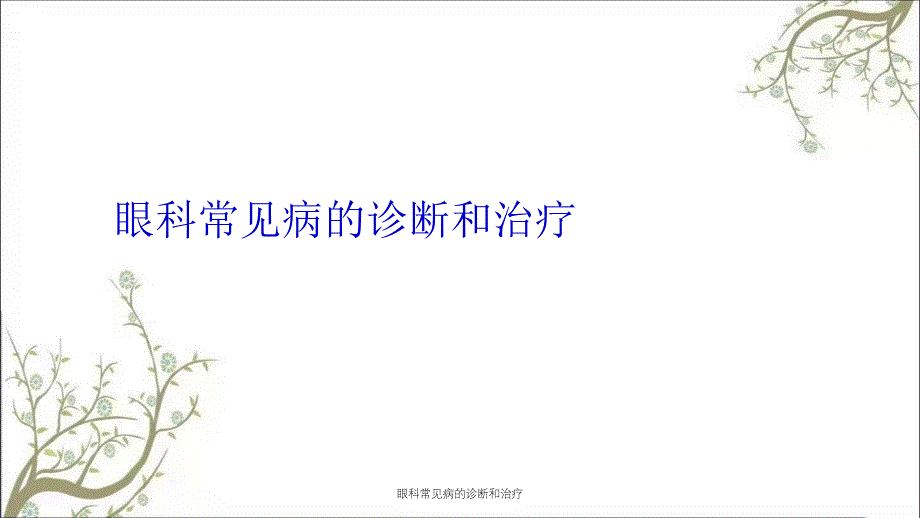 眼科常见病的诊断和治疗_第1页