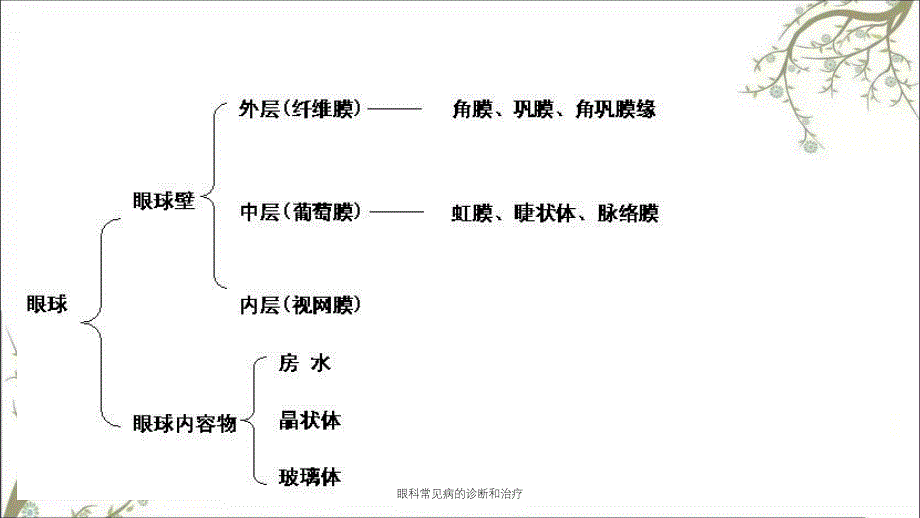 眼科常见病的诊断和治疗_第4页