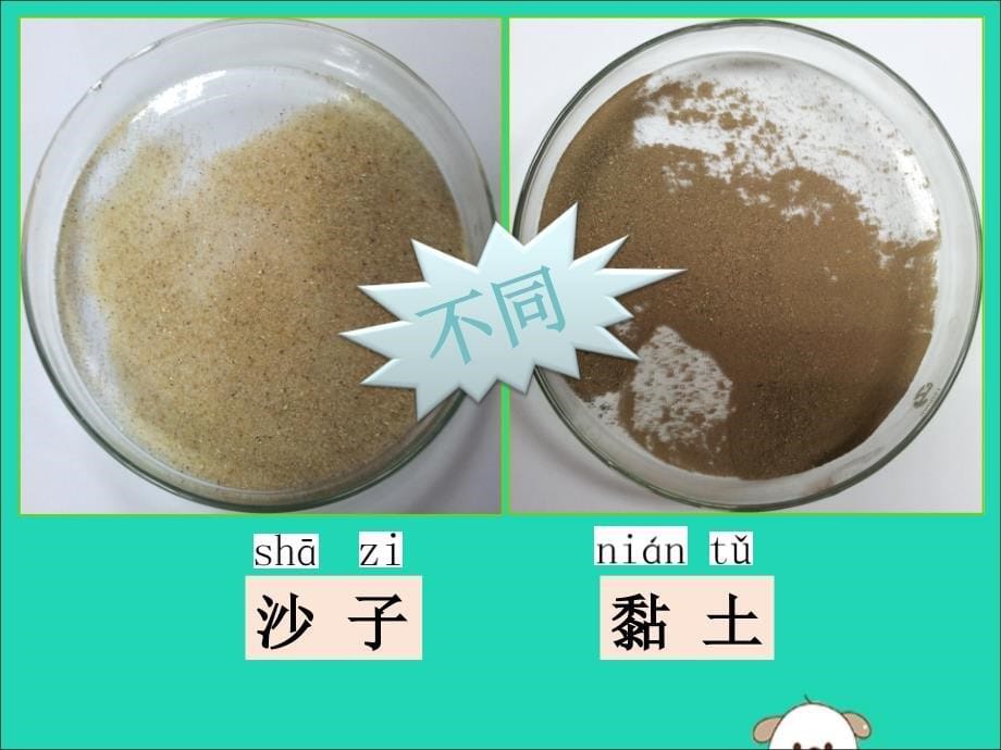 【最新】一年级科学下册 第一单元 石头与泥土 第3课《沙子与黏土》课件 苏教版-苏教版小学一年级下册自然科学课件_第5页