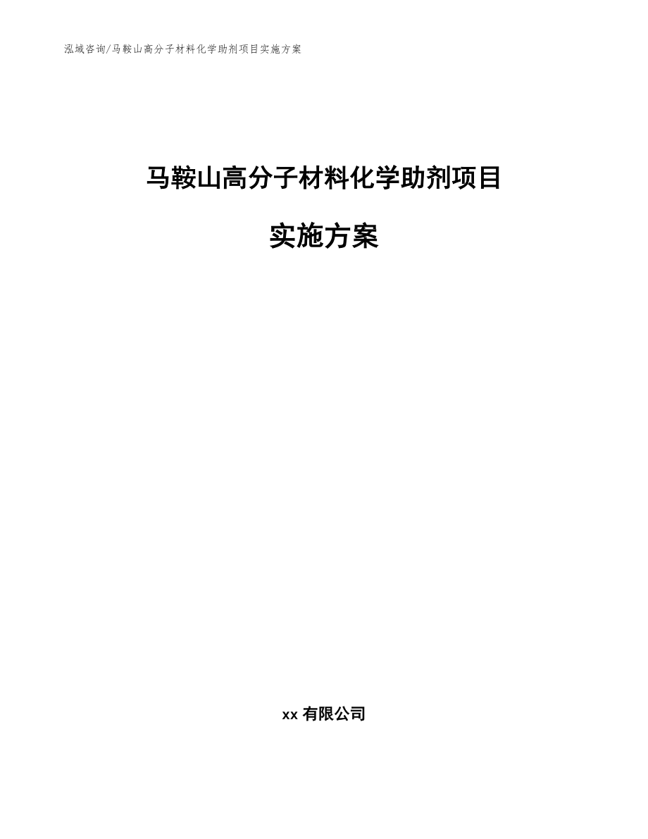 马鞍山高分子材料化学助剂项目实施方案（模板范文）_第1页