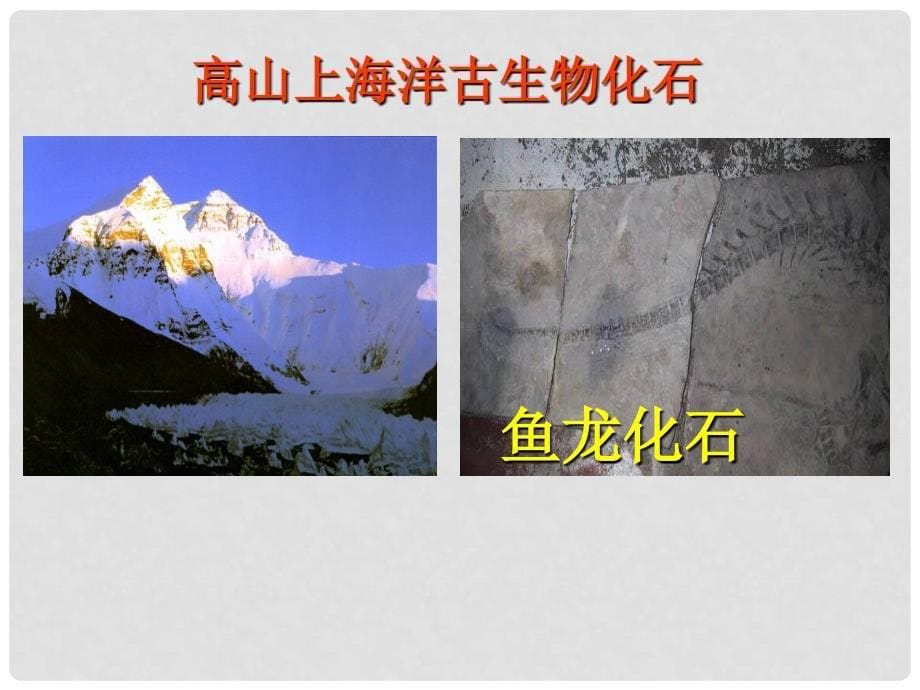 浙江省杭州市西湖区双浦镇七年级科学上册 3.4 地壳变动和火山地震（1）课件 （新版）浙教版_第5页