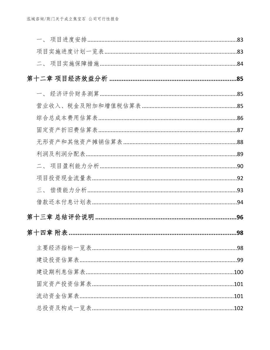 荆门关于成立焦宝石 公司可行性报告_第5页