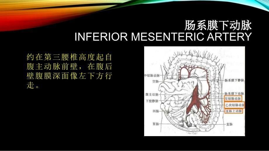 腹部血管疾病的超声诊断_第5页