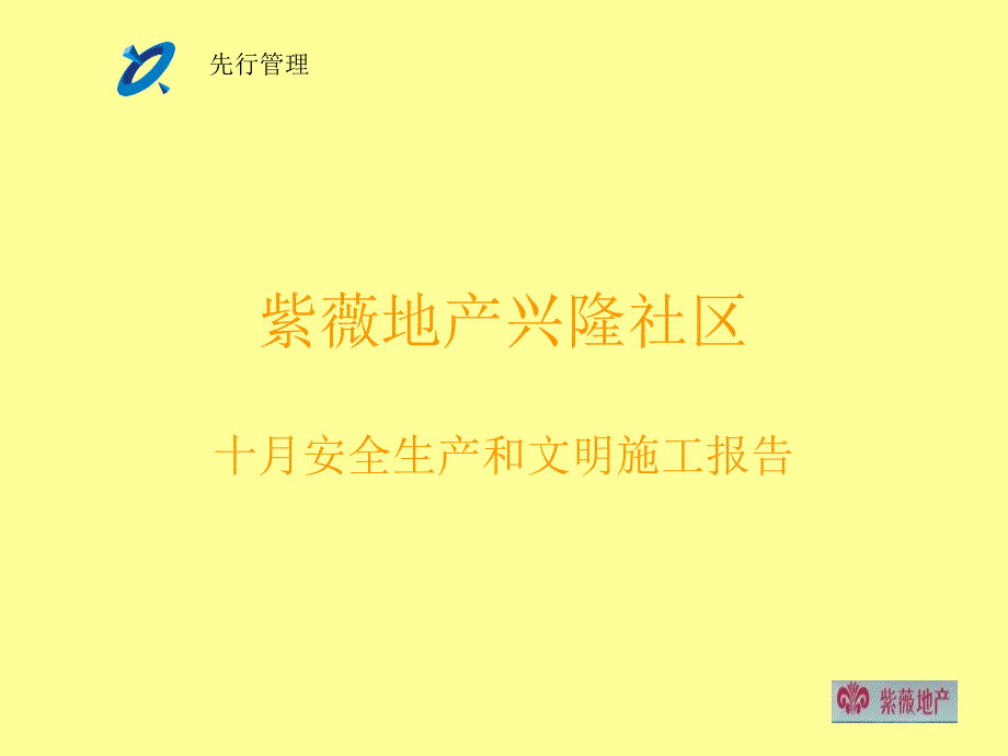 安全检查演示报告PPT课件_第1页