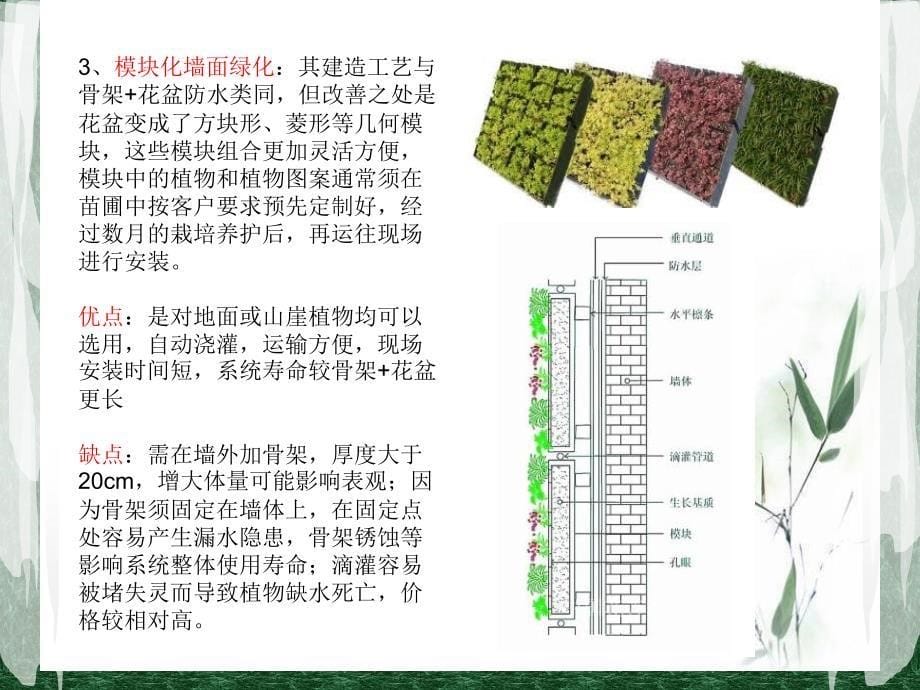 特殊空间绿化.ppt_第5页