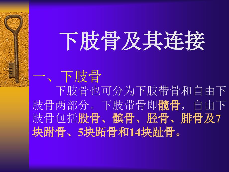 下肢骨及连结PP课件_第1页