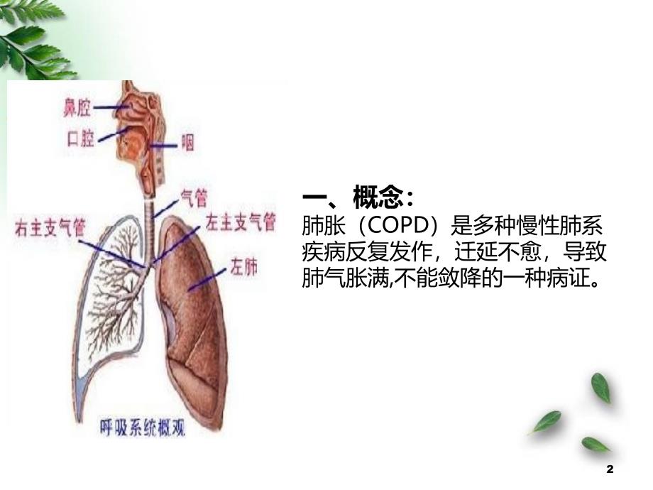 肺胀中医护理查房ppt医学课件_第2页