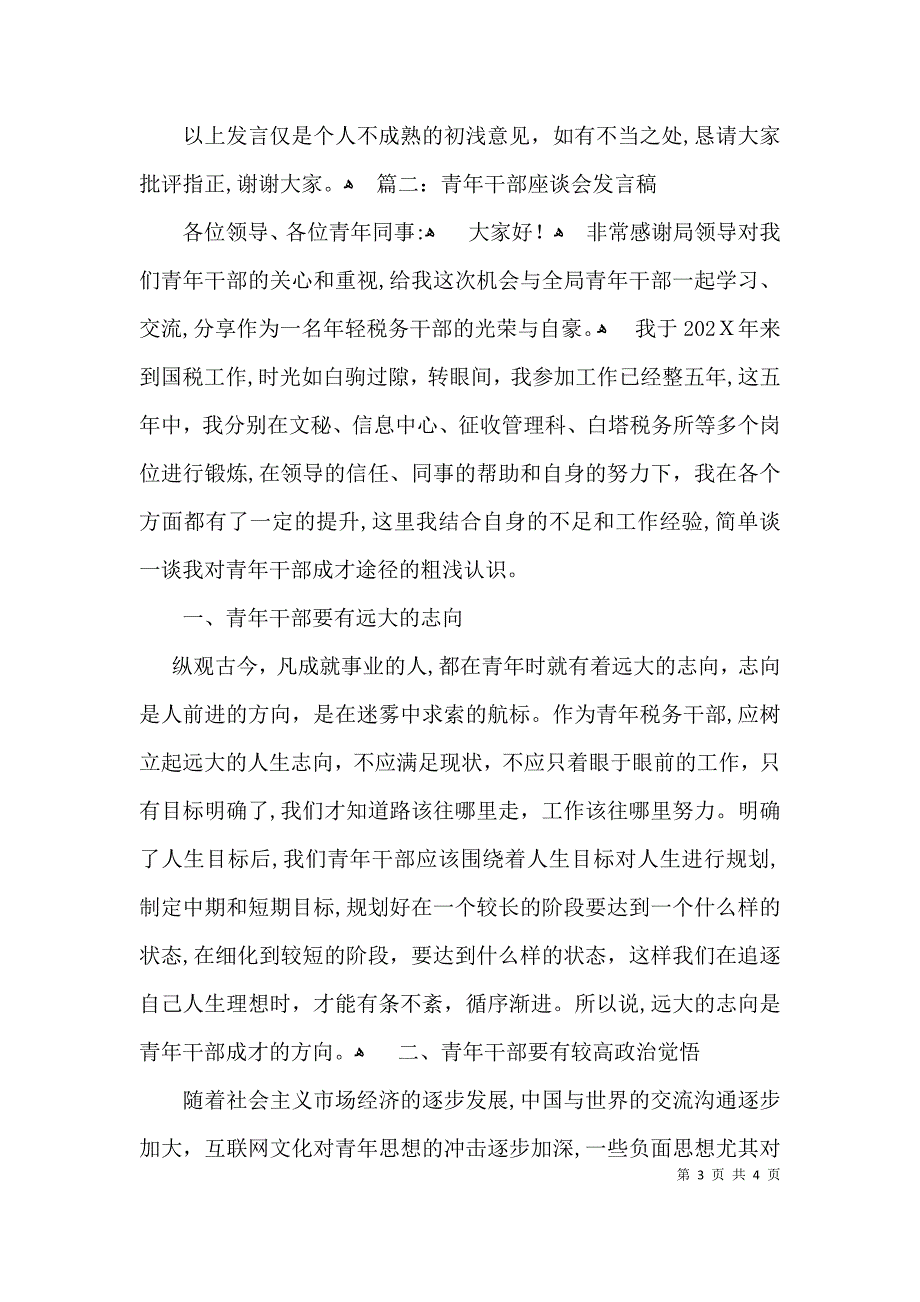 青年干部座谈会发言稿_第3页