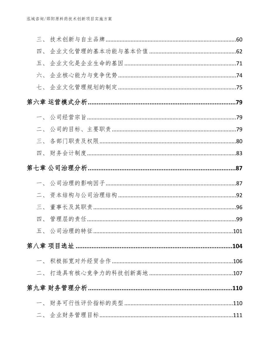 邵阳原料药技术创新项目实施方案_第5页