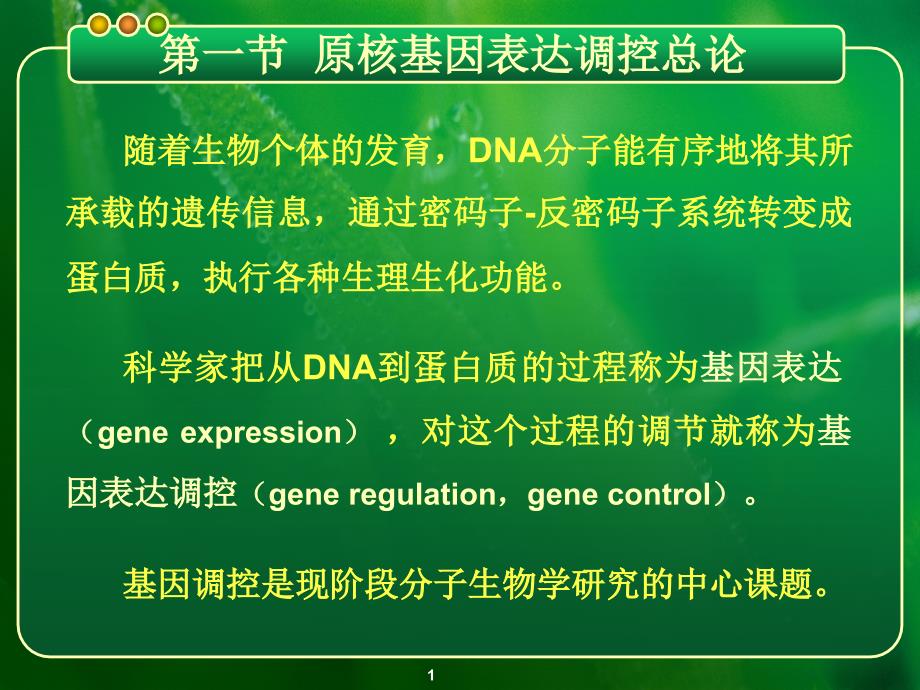 第七章基因的表达与调控原核基因表达调控模式_第1页