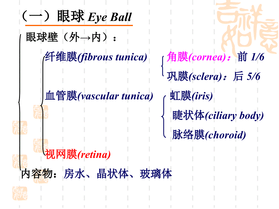 眼和耳PP课件_第5页