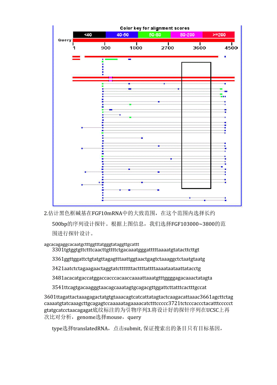 原位杂交探针设计原则_第3页