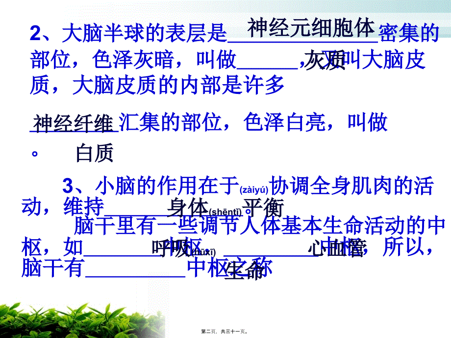 人体的神经调节最新反射和反射弧资料课件_第2页