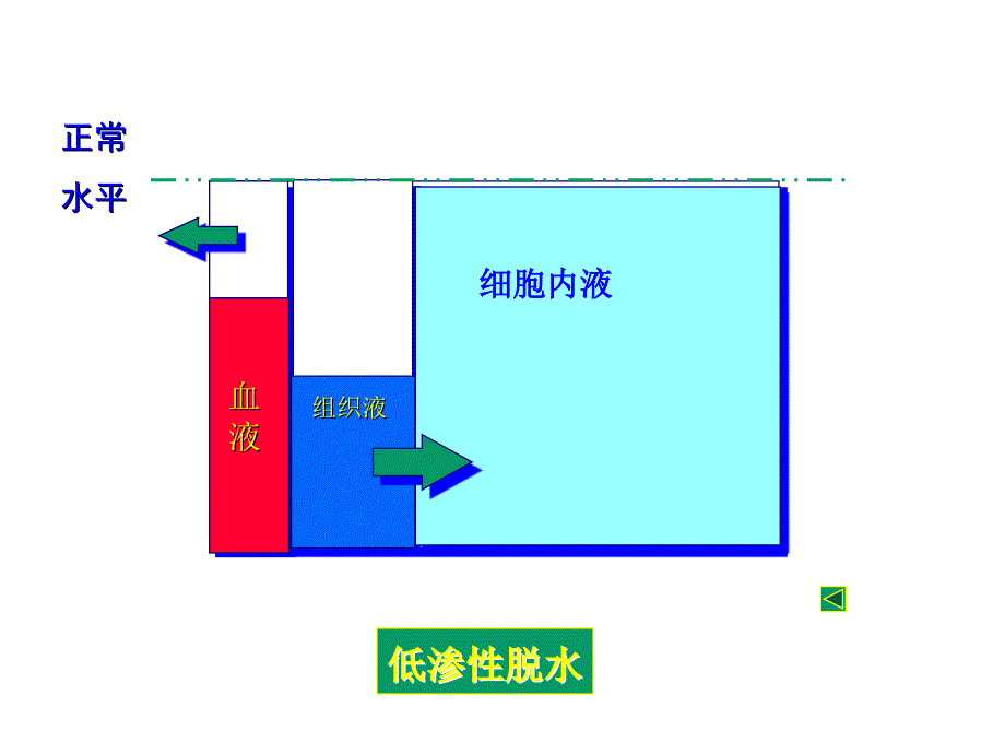 病理生理学课件：水电解质2_第2页