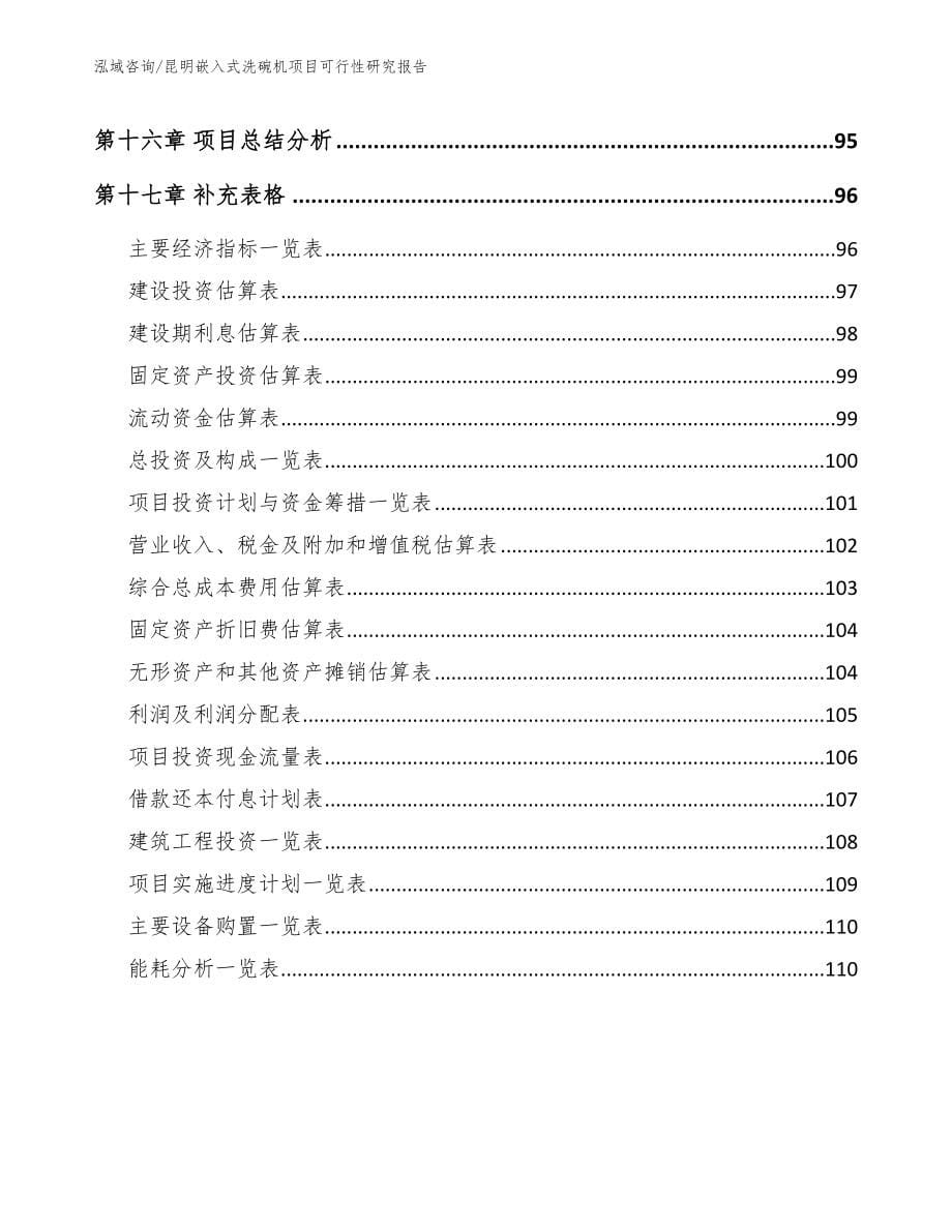 昆明嵌入式洗碗机项目可行性研究报告（参考模板）_第5页