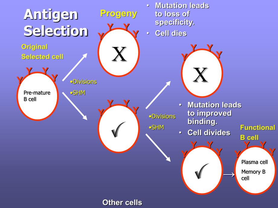 AllergicDiseasefinal过敏性疾病与抗体_第4页