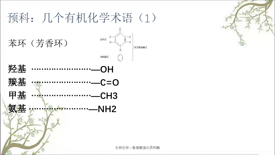 生物化学氨基酸蛋白质和酶_第4页