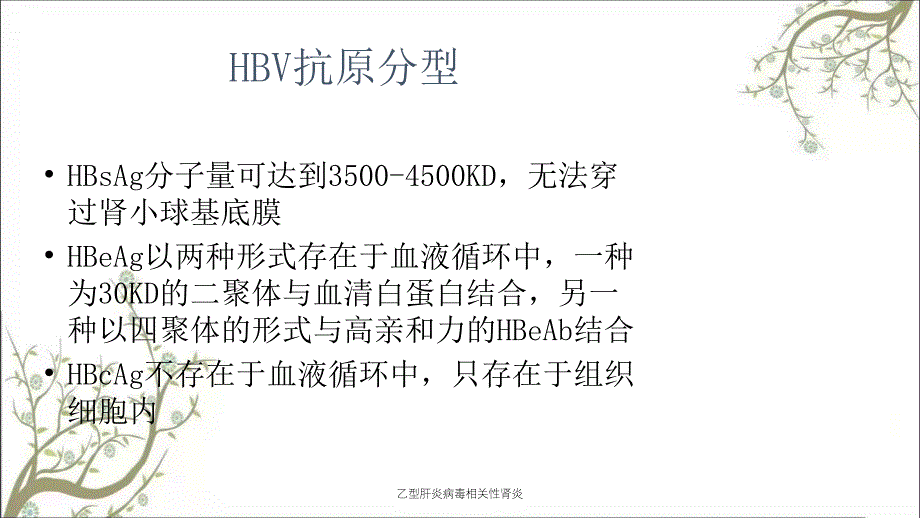 乙型肝炎病毒相关性肾炎_第4页