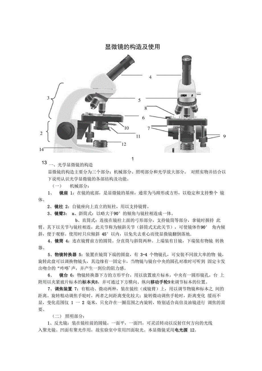 显微镜的构造及使用_第1页