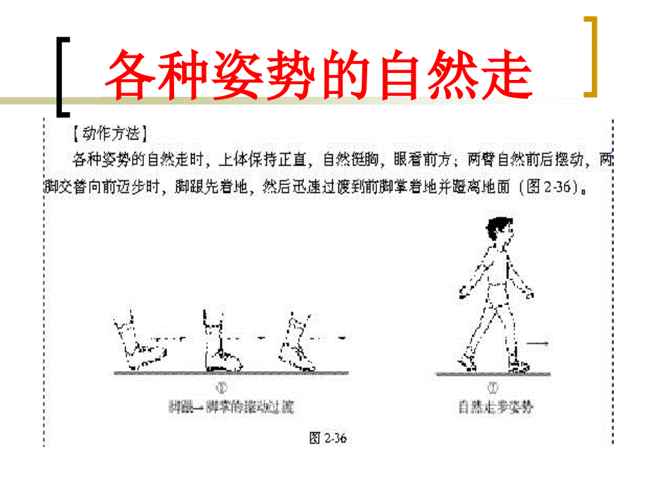 各种方式走PPT课件_第4页