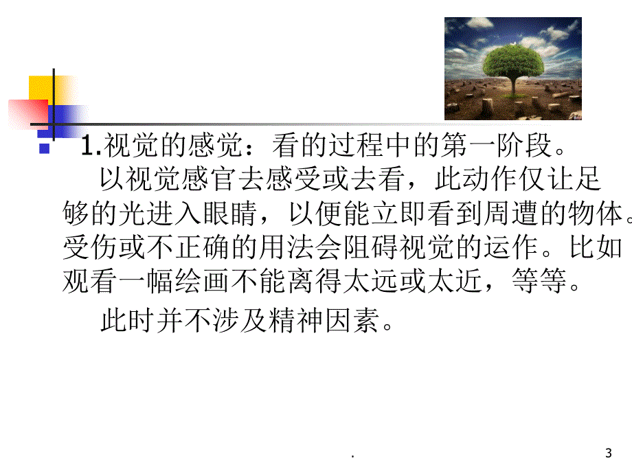 视觉经验的形成课堂PPT_第3页