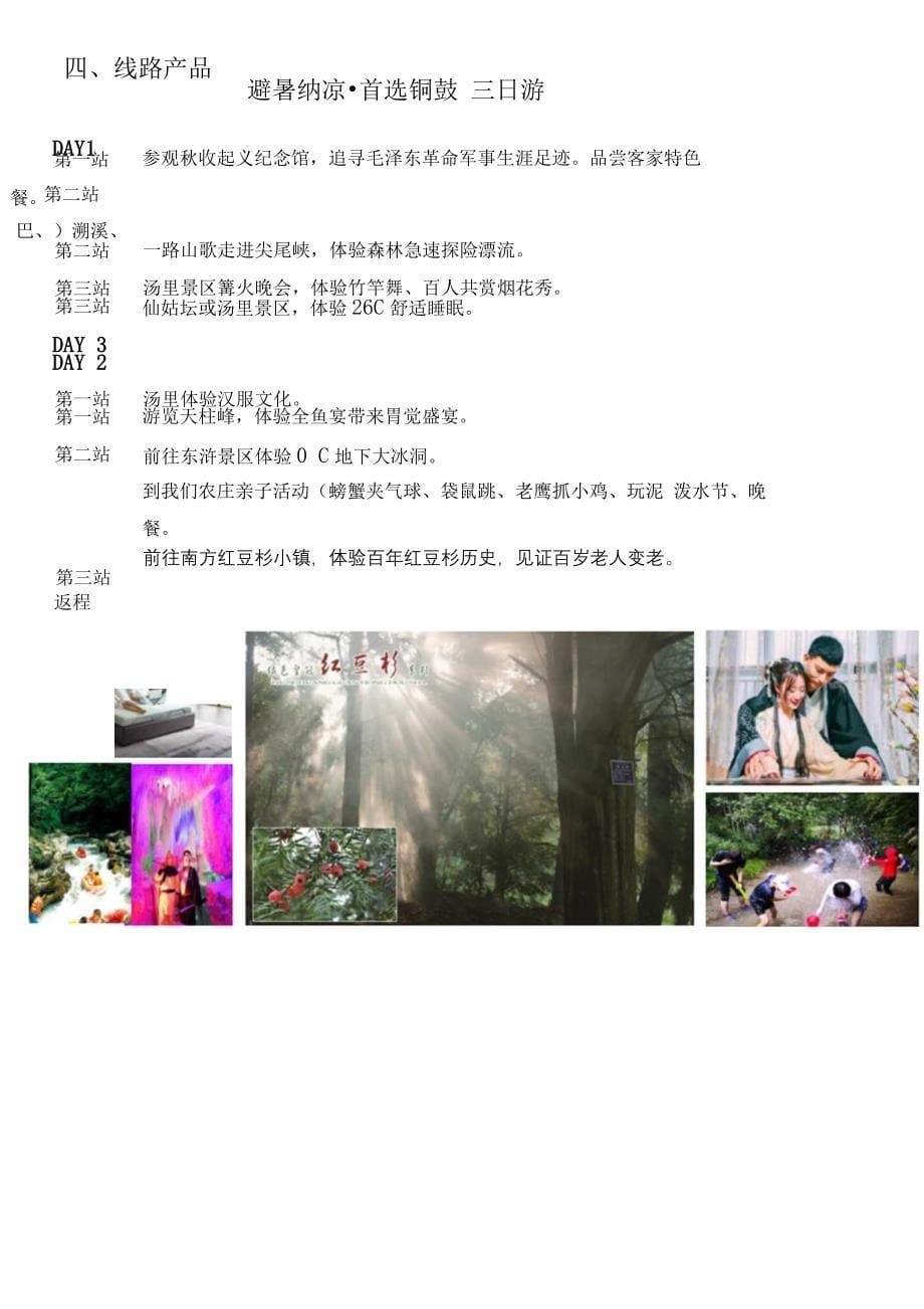 避暑纳凉首选铜鼓产品策划方案.docx_第5页