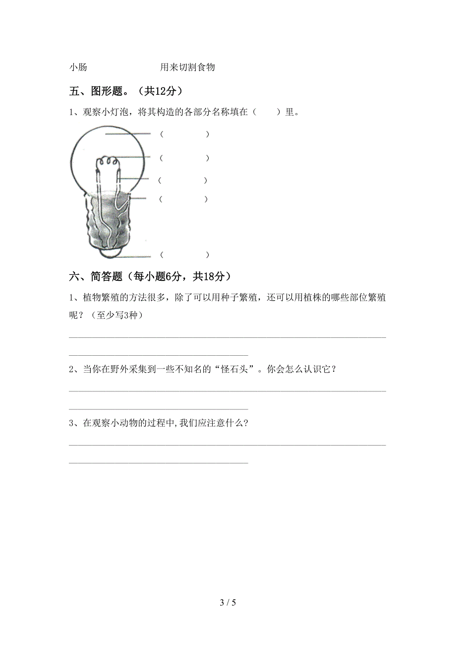 2022年四年级科学上册期中考试题一.doc_第3页