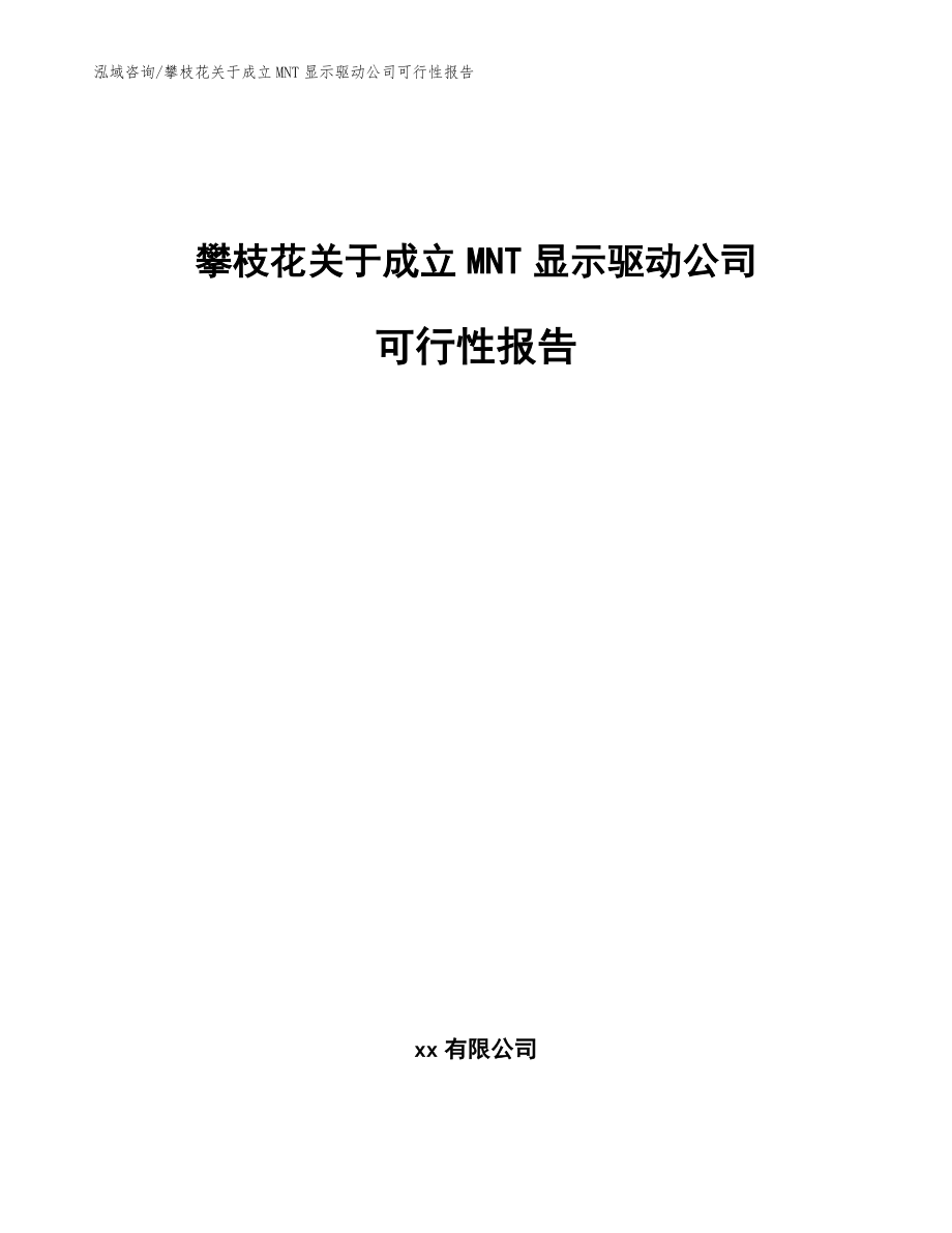 攀枝花关于成立MNT显示驱动公司可行性报告【范文参考】_第1页