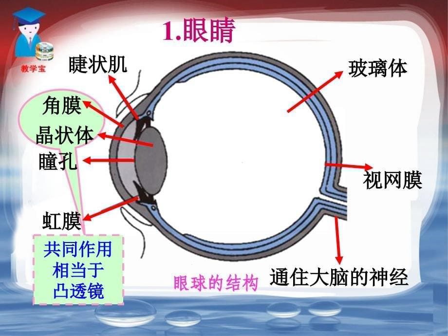 第四节_眼睛与眼镜_第5页