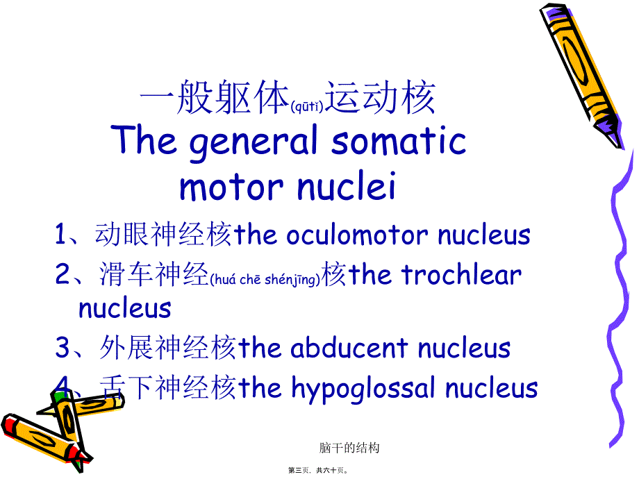 脑干的结构课件_第3页