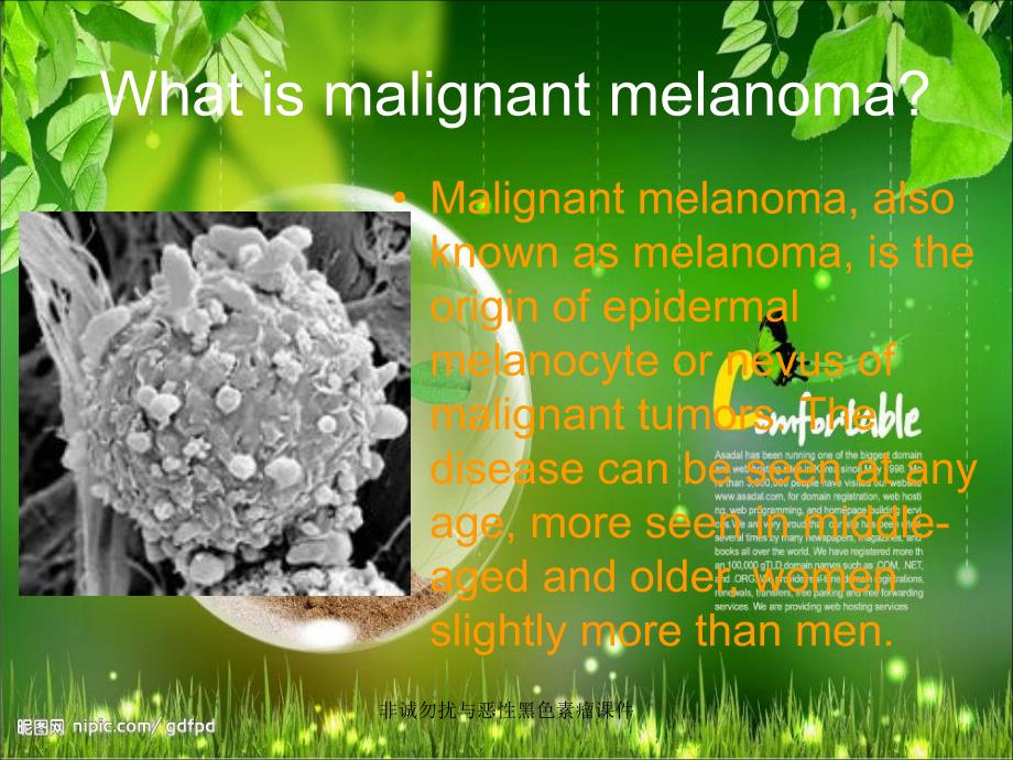 非诚勿扰与恶性黑色素瘤课件_第3页