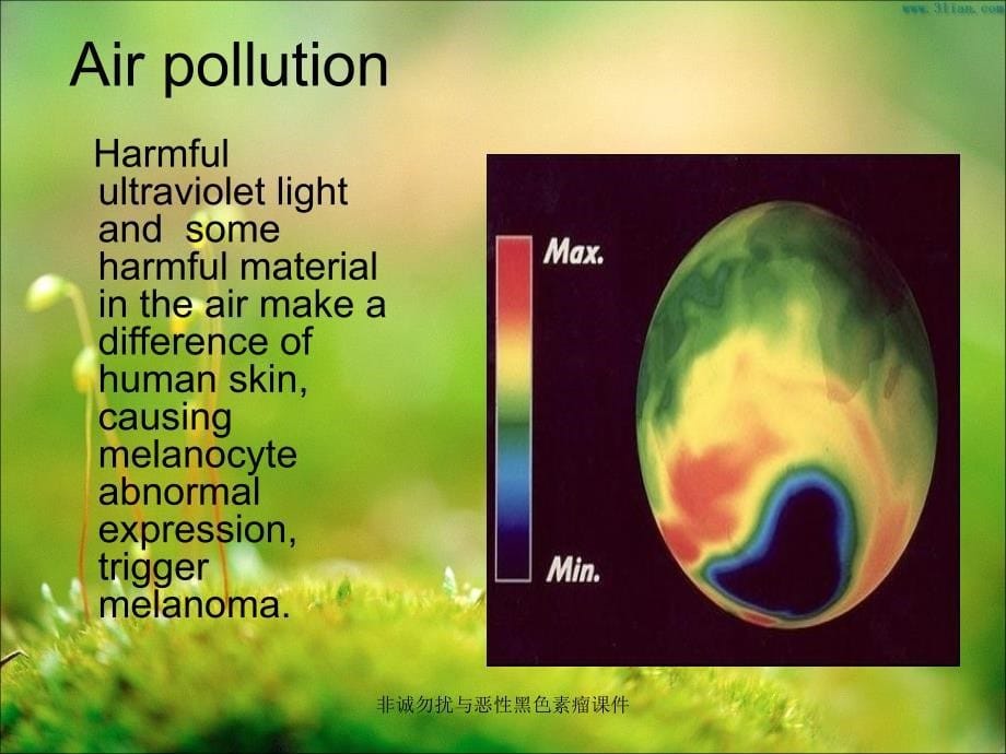 非诚勿扰与恶性黑色素瘤课件_第5页