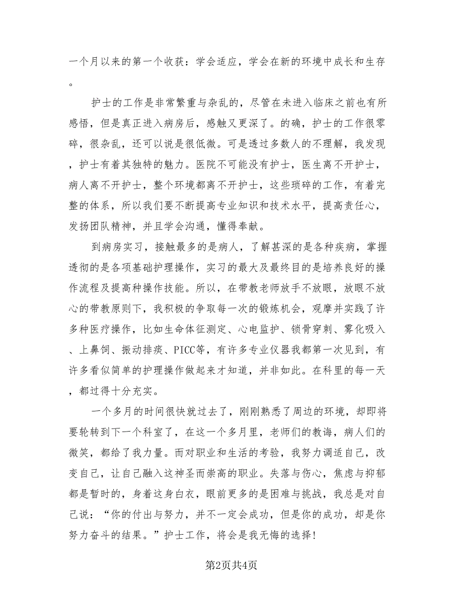 2023护士实习个人总结报告（2篇）.doc_第2页