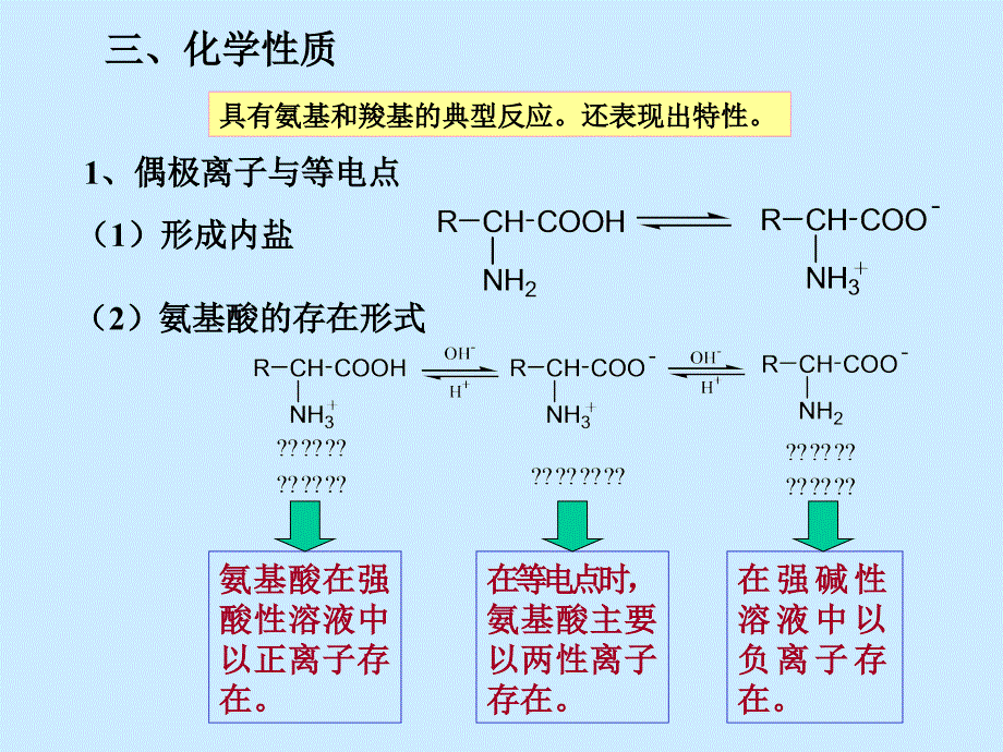 S14氨基酸多肽蛋白质_第4页