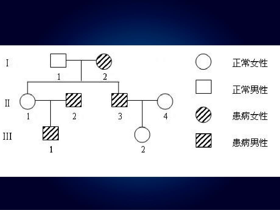 遗传系谱图判断_第2页