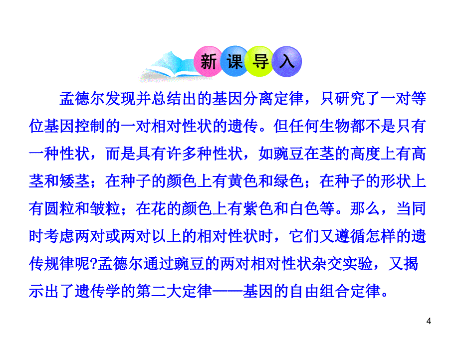 1213版高中生物多媒体同步授课课件：第三章第二节第一课时基因的自由组合定律苏教版必修2_第4页