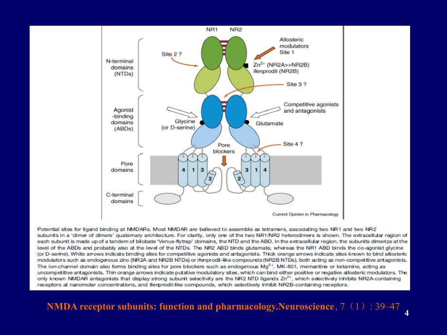 抗NMDAR脑炎PowerPoint演示文稿_第4页