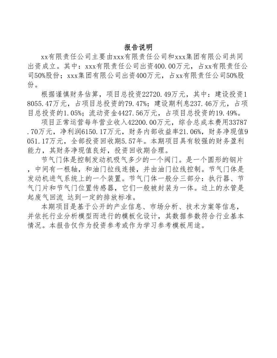 关于成立节气门体公司可行性报告(DOC 70页)_第2页