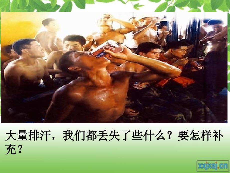 水盐平衡的调节_第1页