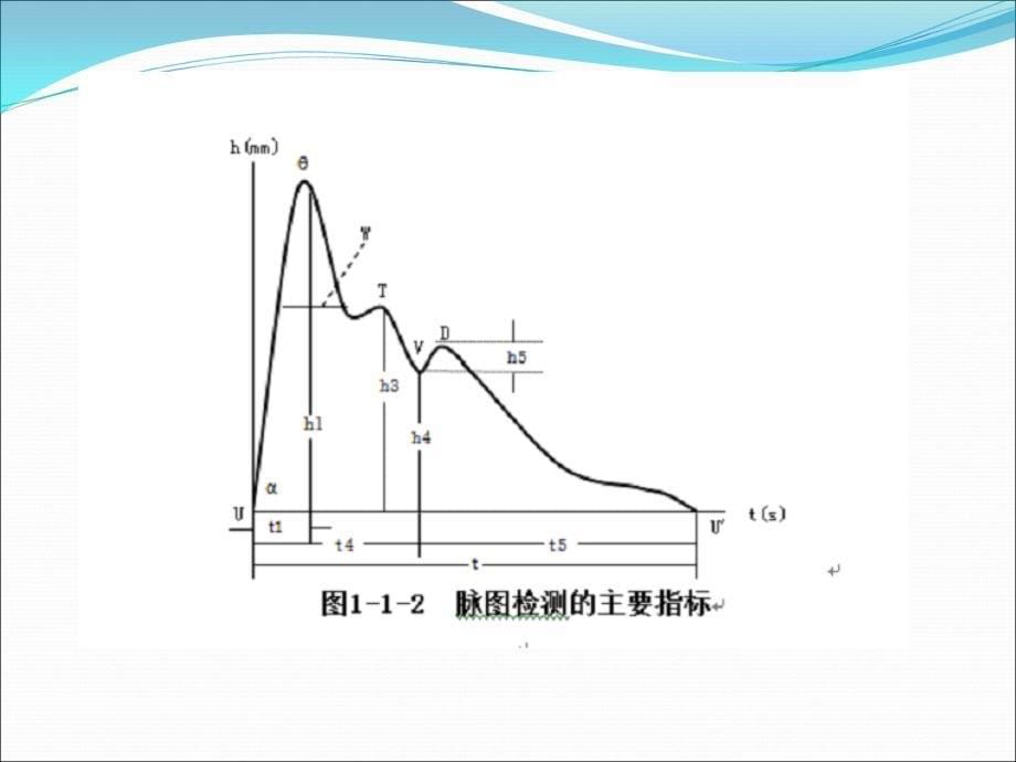 继教脉图分析-0课件_第5页